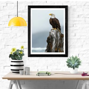 Bald Eagle Wall Art