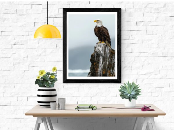 Bald Eagle Wall Art